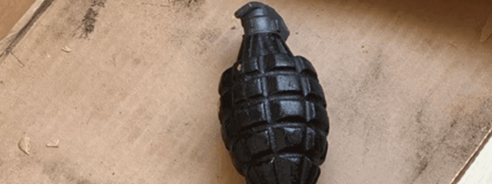 Grenade Found in Home Linked to Doctor Abuse Case